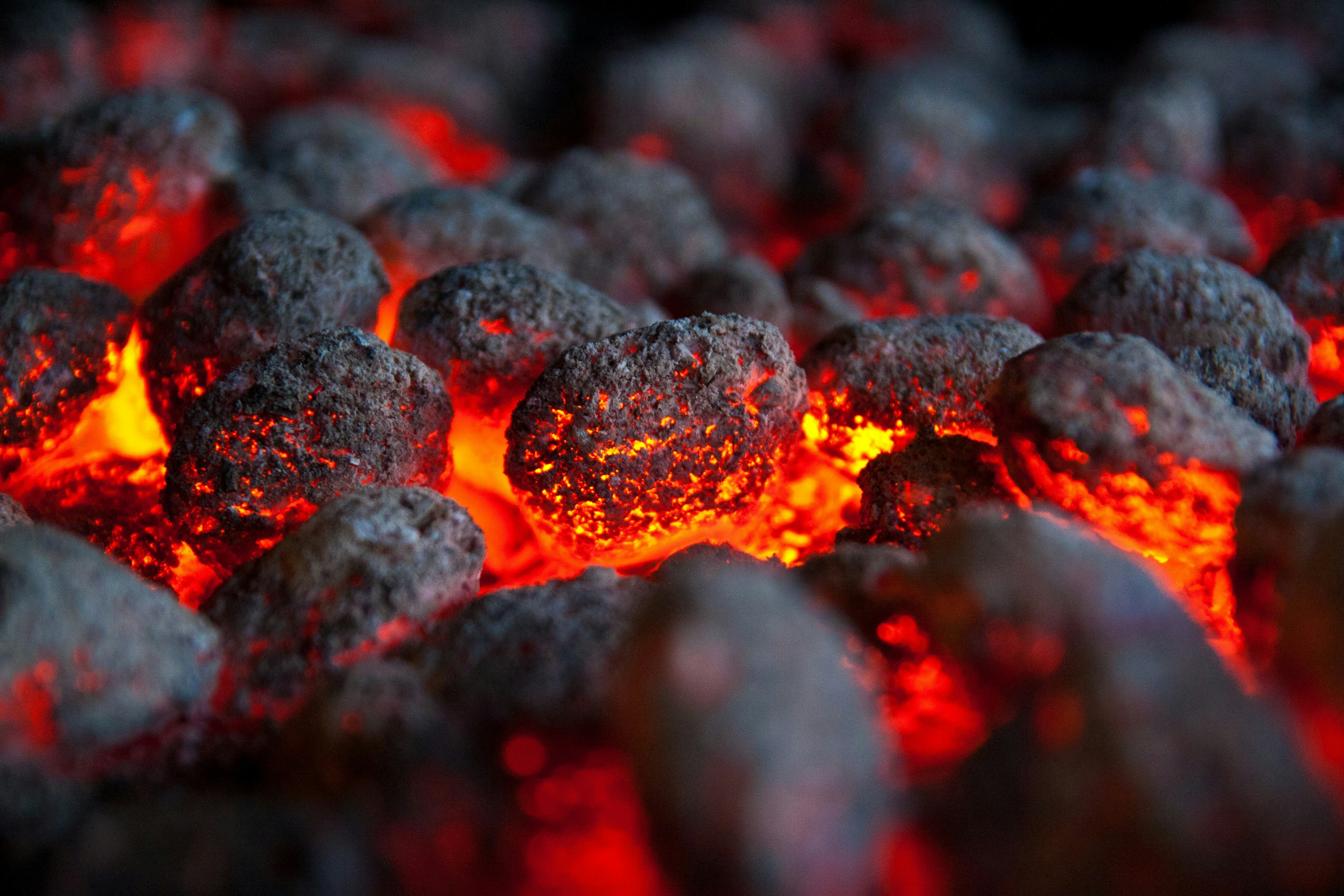 Bharat Coking Coal Sets Price Band, IPO To Open On Jan 9 &mdash; Check Details