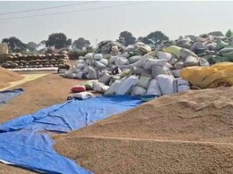 बलौदा बाजार में धान खरीदी व्यवस्था में लापरवाही, इन अधिकारियों के खिलाफ कलेक्टर दीपक सोनी ने लिया एक्शन