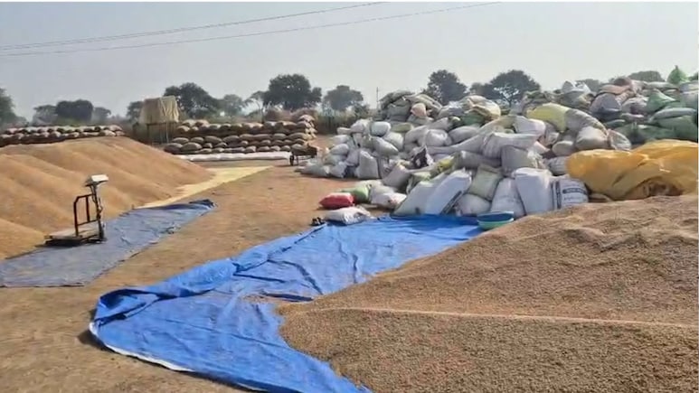 बलौदा बाजार में धान खरीदी व्यवस्था में लापरवाही, इन अधिकारियों के खिलाफ कलेक्टर दीपक सोनी ने लिया एक्शन