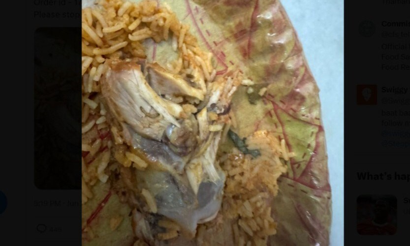 Man Finds Bugs In Chicken Biryani Ordered Via Swiggy, Gets Full Refund After Viral Tweet
