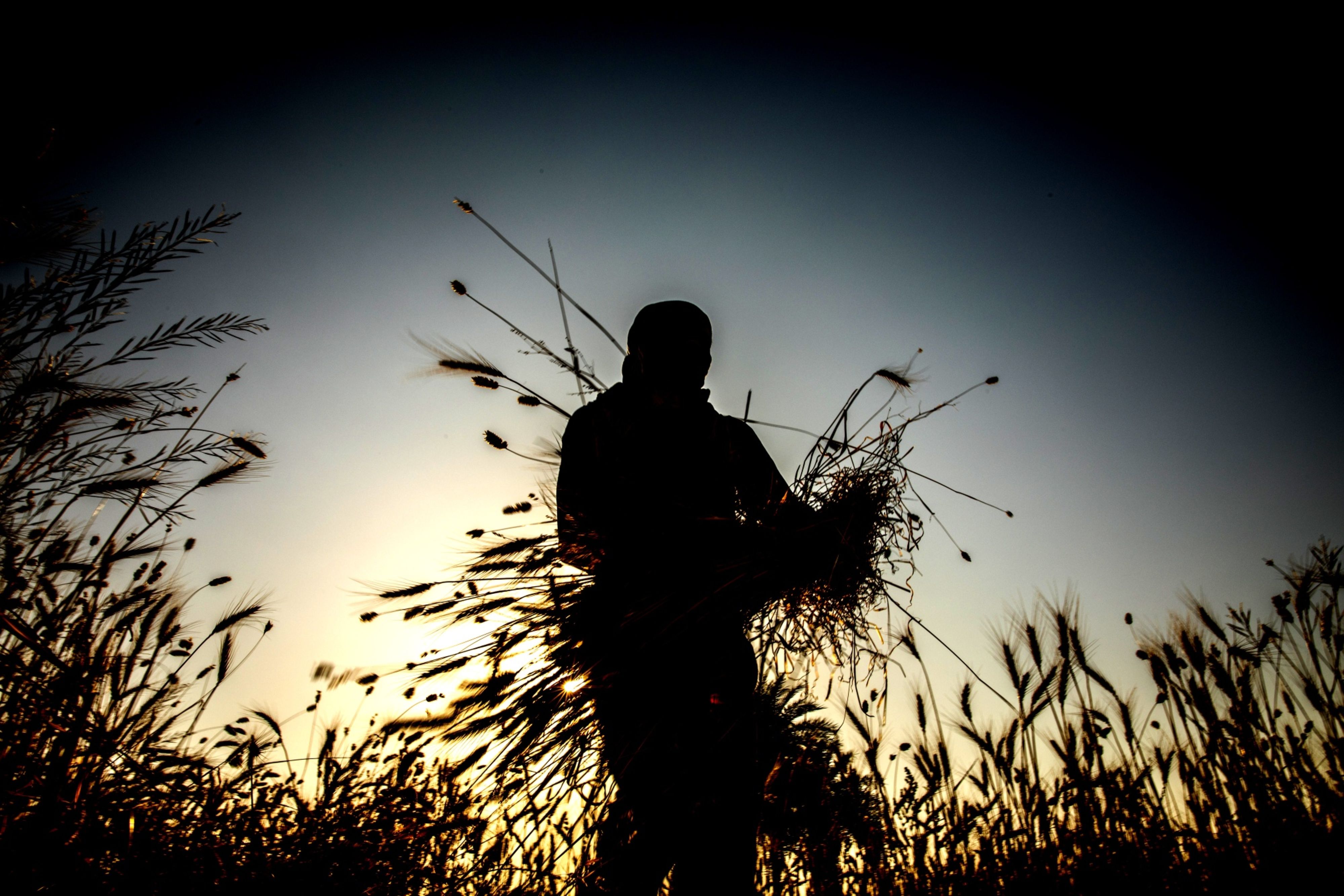 Farm Credit Growth Hit A Four-Year High In FY21