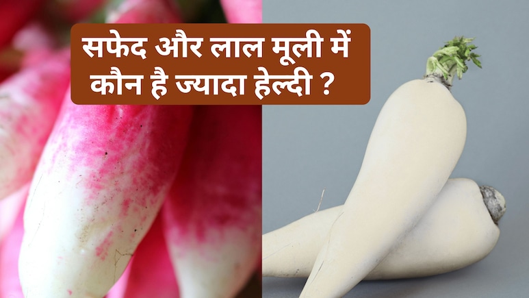सफेद या लाल कौन सी मूली ज्यादा फायदेमंद? खरीदने से पहले जरूर जान लें ये जरूरी बात