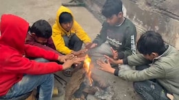 Rajasthan Weather: राजस्थान में बारिश, कोहरा और शीतलहर से हुआ नए साल का स्वागत, IMD ने जारी किया 18 जिलों में अलर्ट