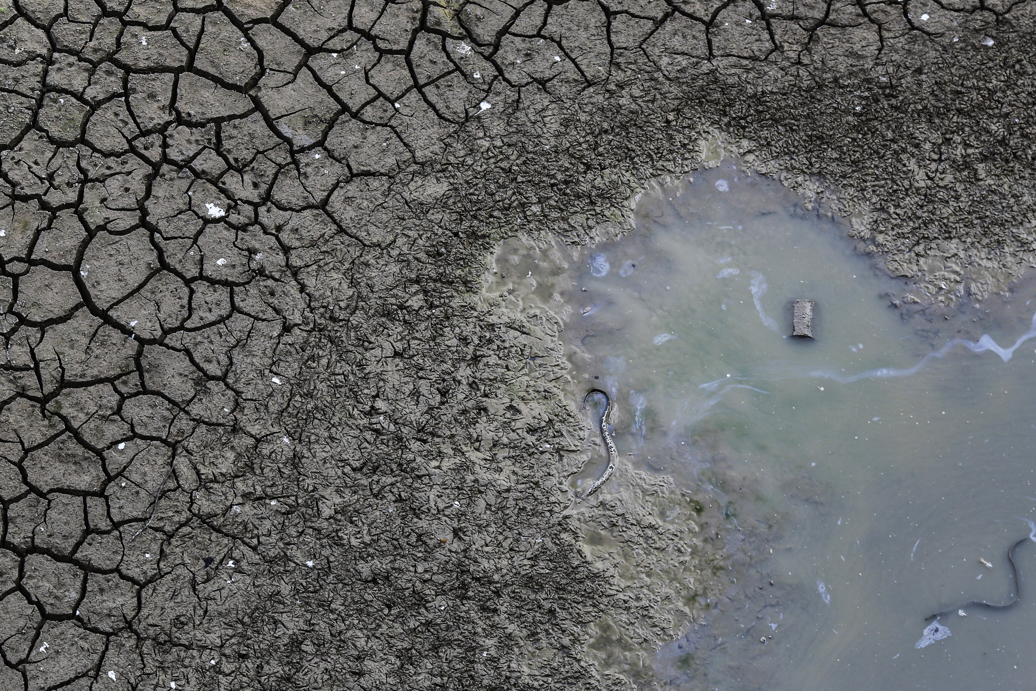 Changing Monsoon Patterns Worsening India&rsquo;s Water Crisis, Conflicts: Study &nbsp;