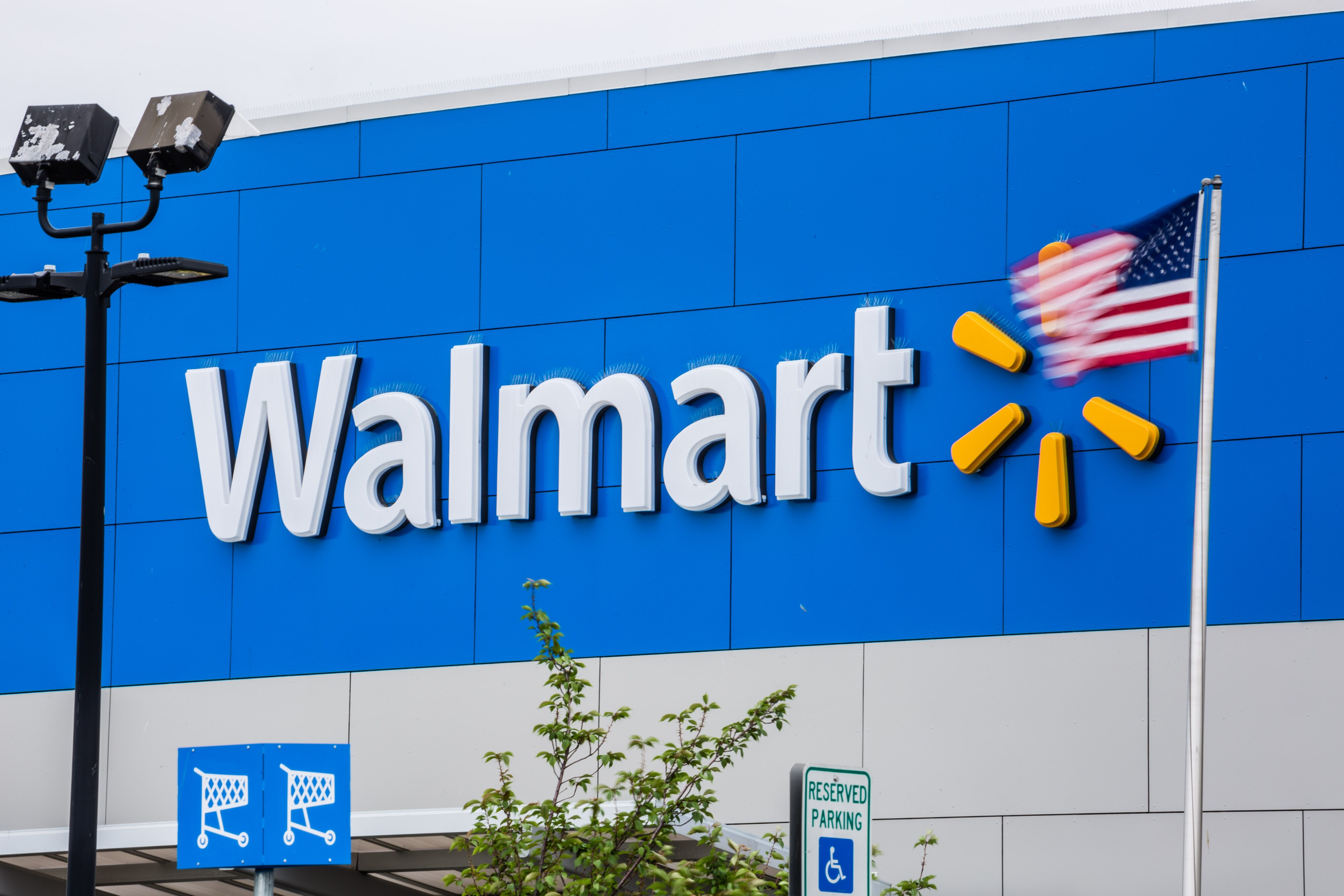 Walmart&rsquo;s Flipkart Gambit: Growth Rebirth Or Costly Facelift?
