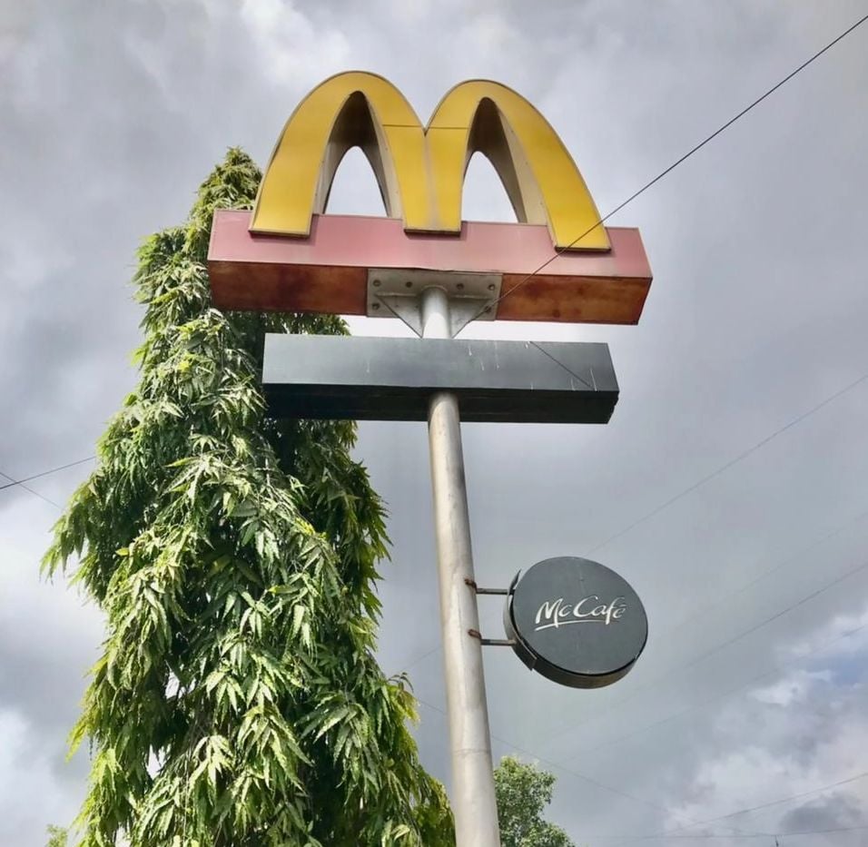 Westlife Foodworld Shares Jump After Food Safety Authority Verifies McDonald's Products