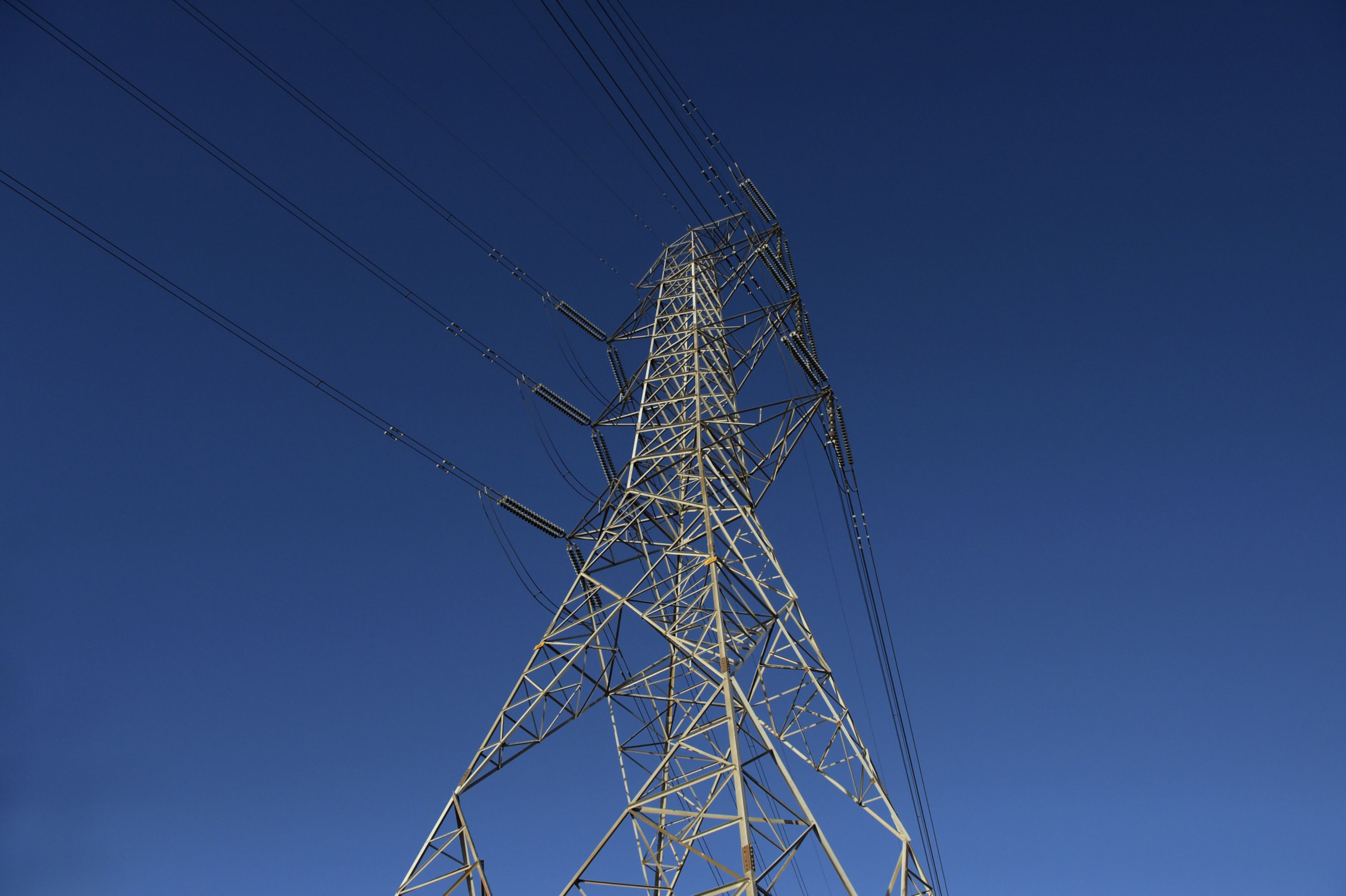 Power Grid Q1 Review - Steady Growth In Underlying Transmission Numbers: Motilal Oswal
