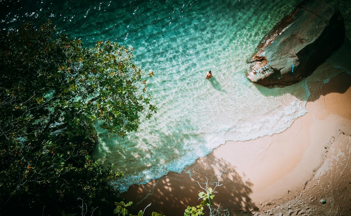 Latest and Breaking News on NDTV Latest and Breaking News on NDTV