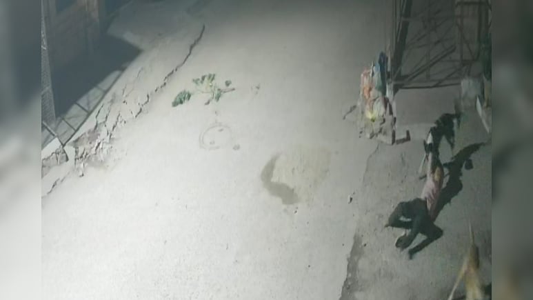 9 साल के बच्चे पर कुत्ते ने किया हमला, जमीन पर गिरा तो सिर पकड़कर घसीटा; मासूम बुरी तरह घायल