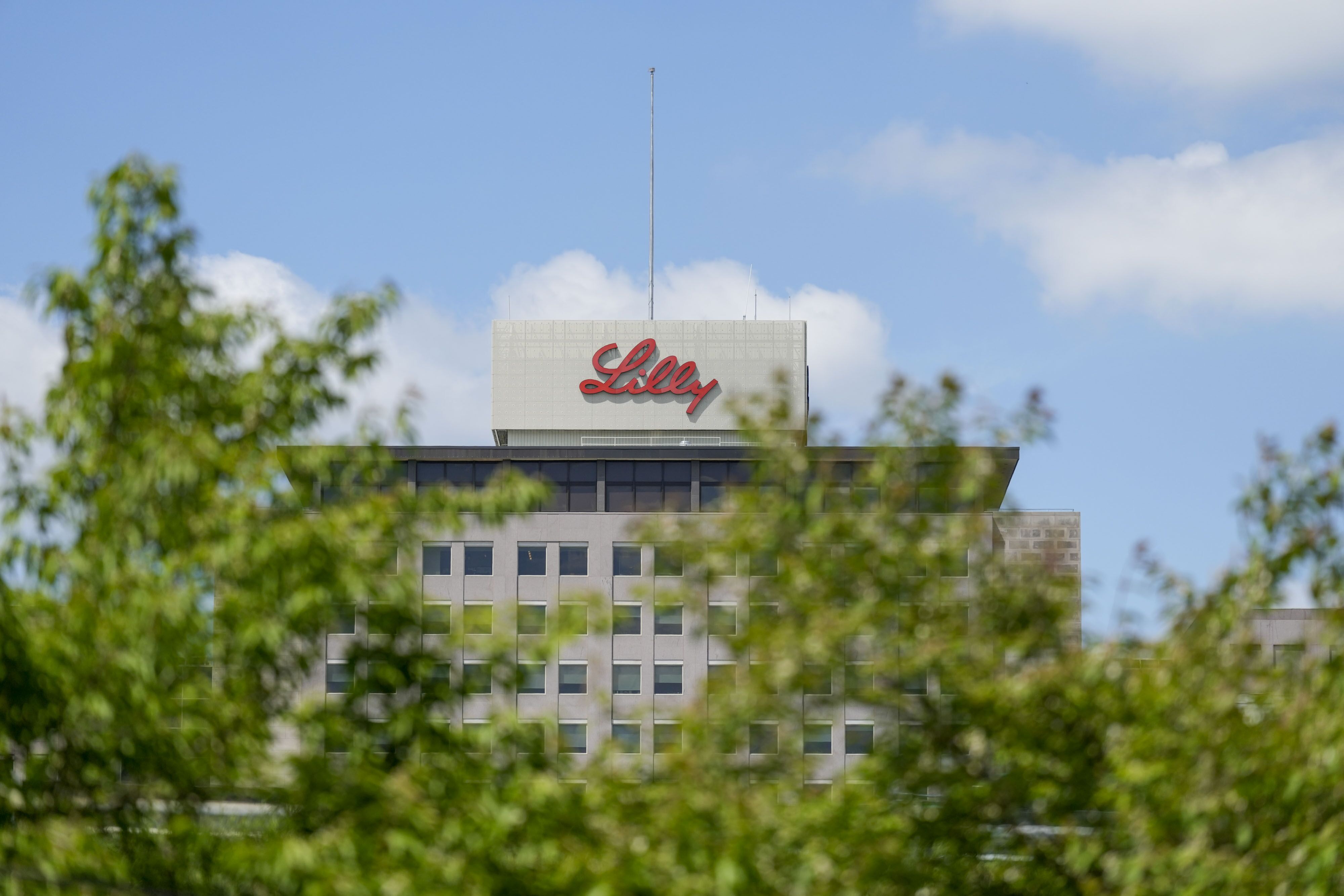 Lilly Alzheimer&rsquo;s Drug Seen Effective By FDA Advisory Panel