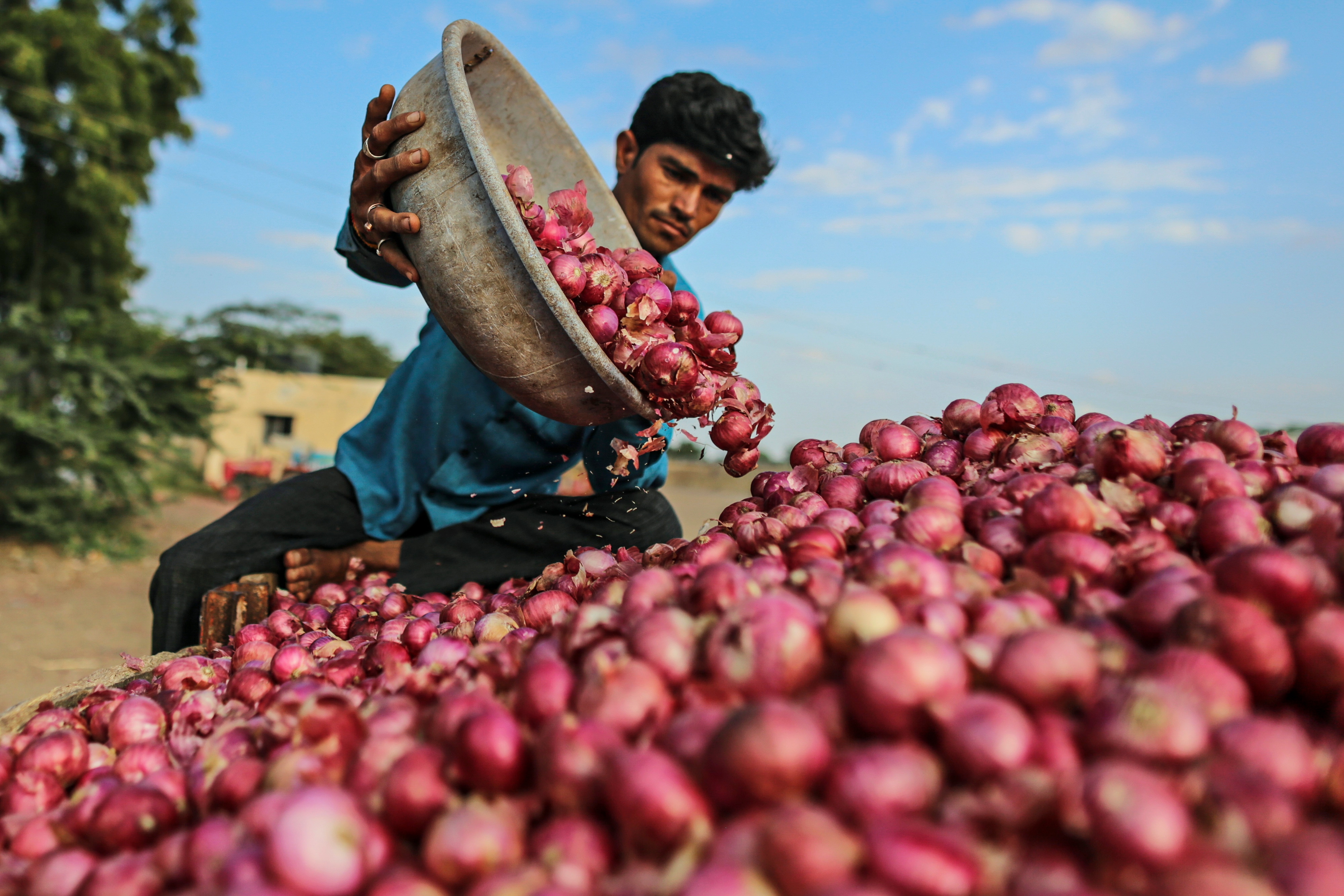 Government Lets State-Run Agencies Import Onions To Check Prices
