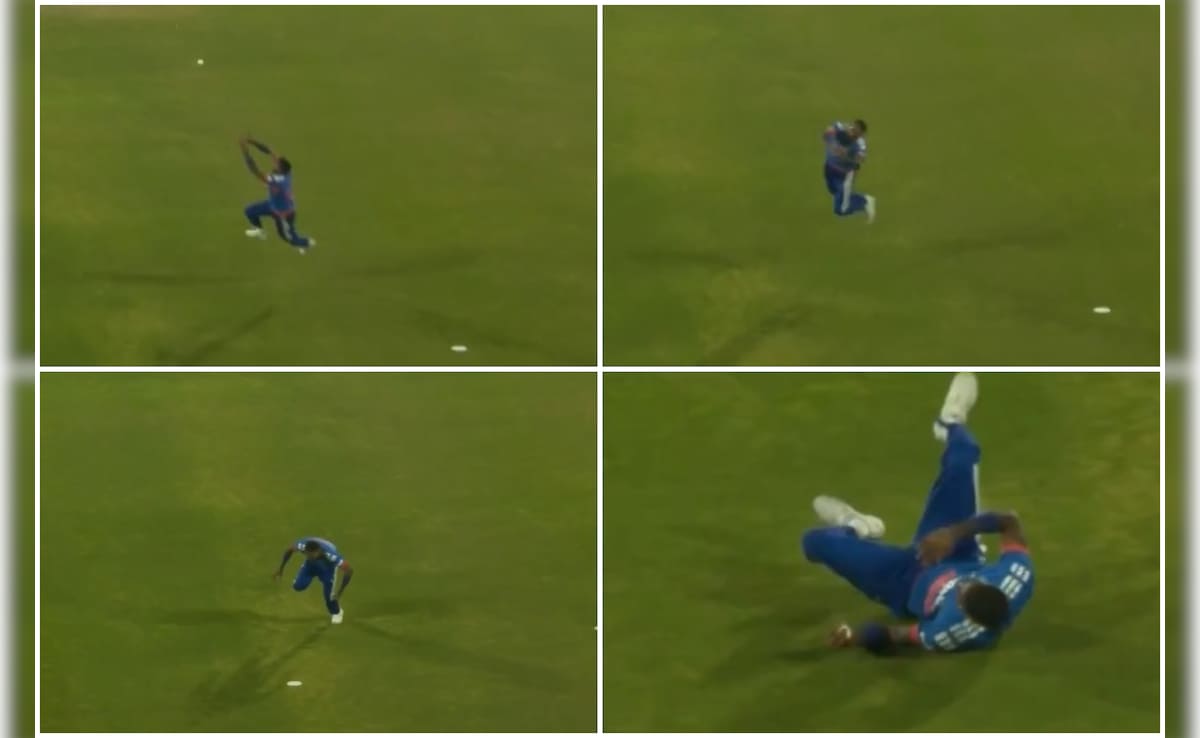 IND vs NZ 3rd T20I: सुपरमैन बने हार्दिक पांड्या, लपका असंभव का कैच, देखकर रह जाएंगे दंग, देेखें वीडियो