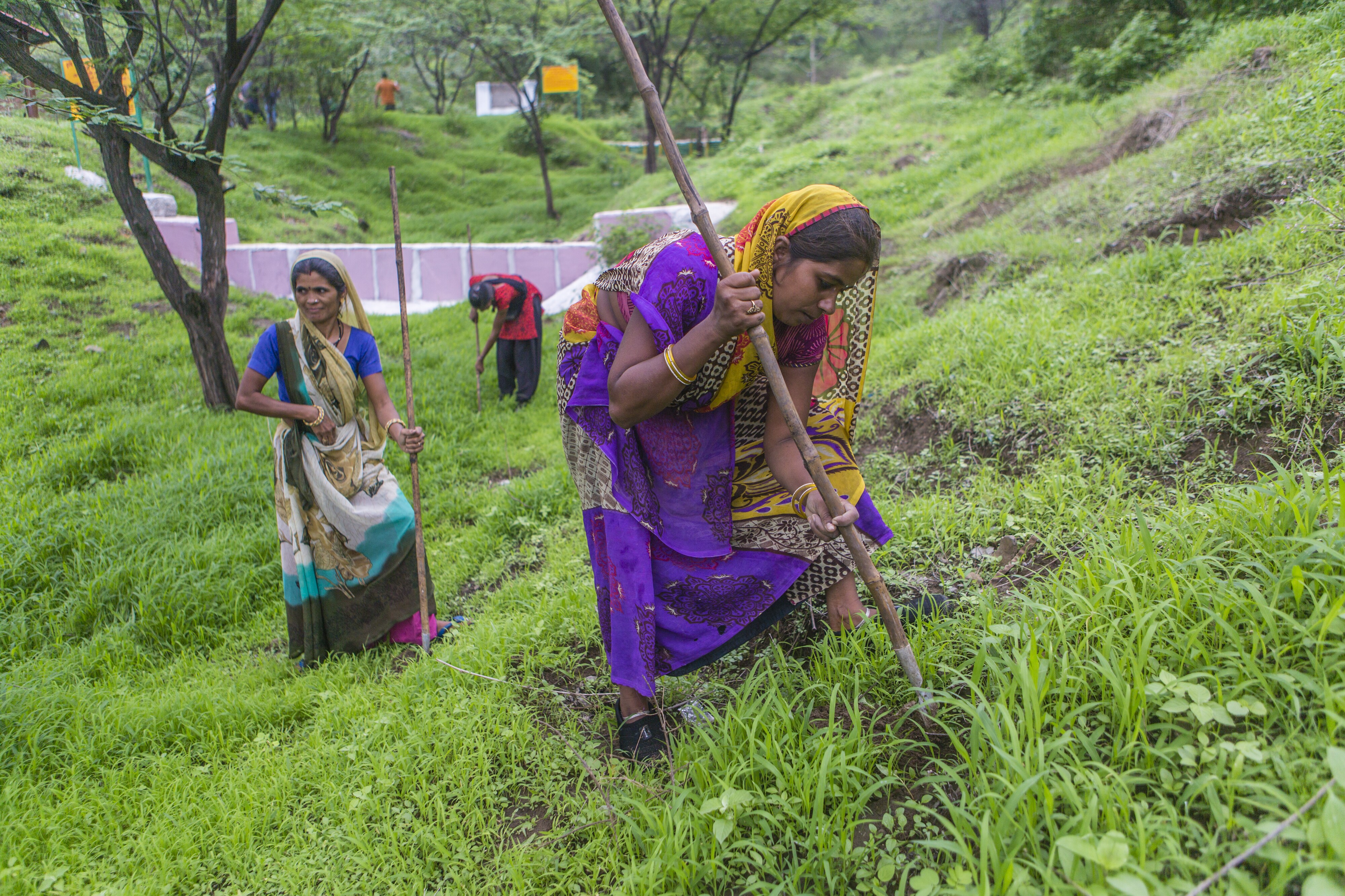 How Governments Across India Are Violating Forest Rights