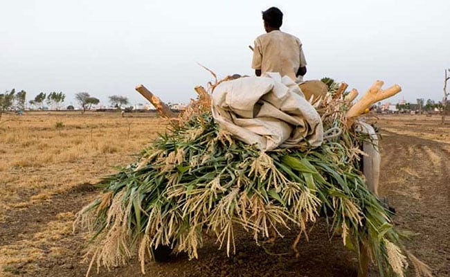 Rs 6,000 Direct Cash Transfer For Small Farmers: Minister Piyush Goyal