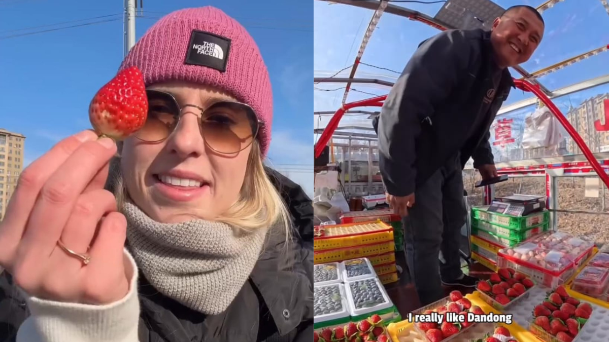 Viral Video Shows Strawberries From China Infused With "Creamy" Flavours, Internet Reacts
