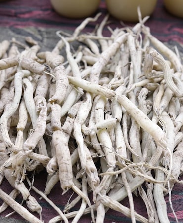 Amazing Health Benefits Of Safed Musli
