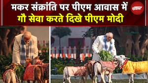 PM Modi Cow Feeding Video: Pongal के बाद PM ने मकर संक्रांति पर भी की गौ सेवा | Viral Video | PMO