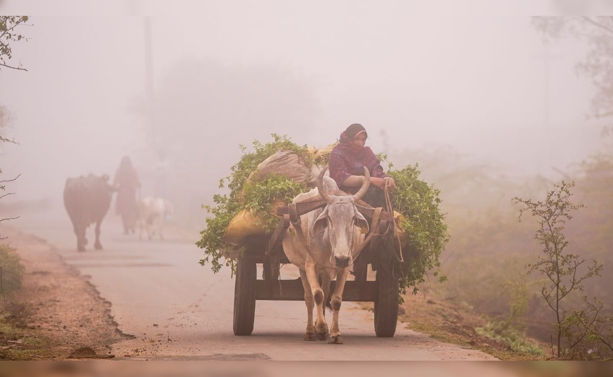 Latest and Breaking News on NDTV Latest and Breaking News on NDTV