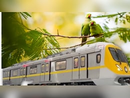 तोतों का आशियाना बचाने को MP हाईकोर्ट ने दिया दखल, इंदौर में मेट्रो के लिए अभी नहीं कटेंगे पेड़