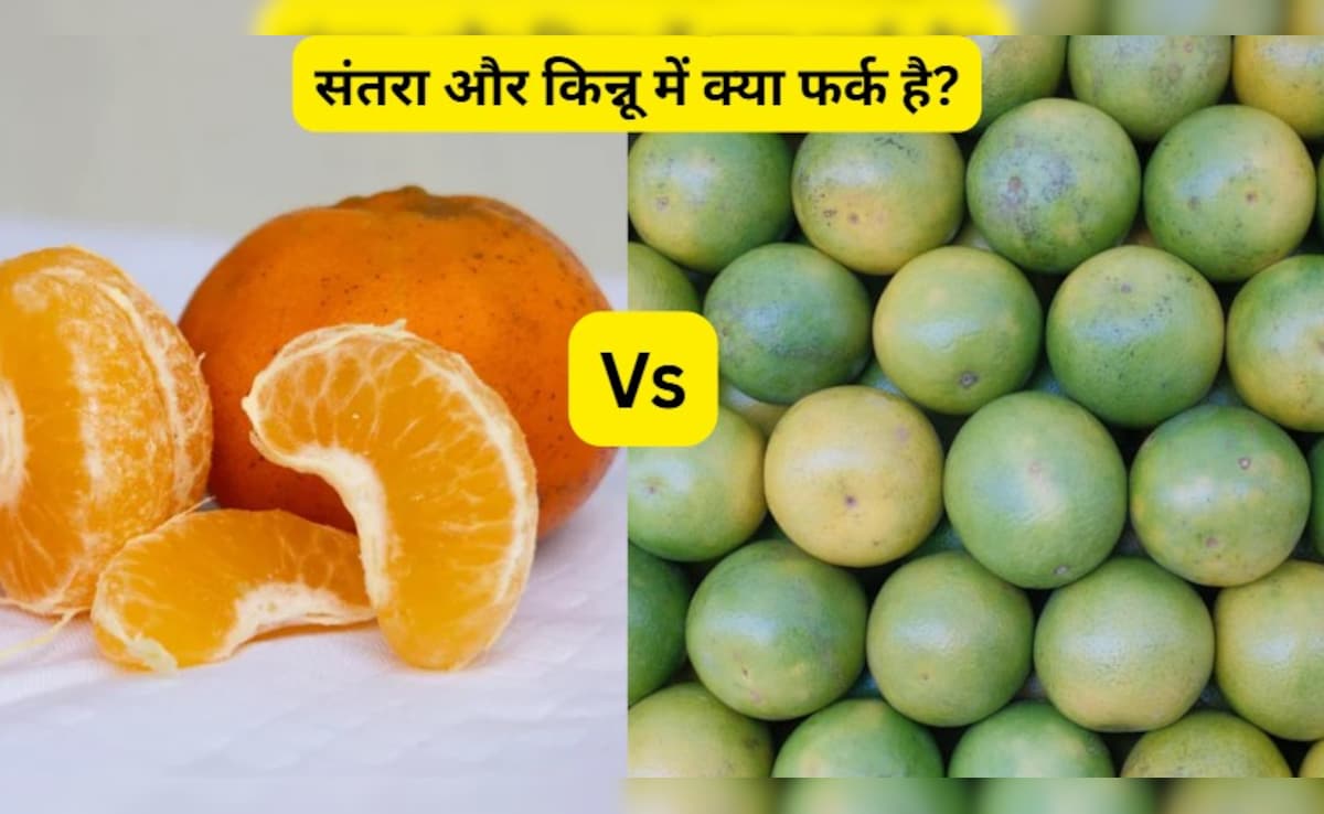 संतरा और किन्नू में क्या फर्क है, जानें किन्नू के फायदे, तासीर और कब खाना चाहिए?
