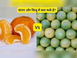 संतरा और किन्नू में क्या फर्क है, जानें किन्नू के फायदे, तासीर और कब खाना चाहिए?