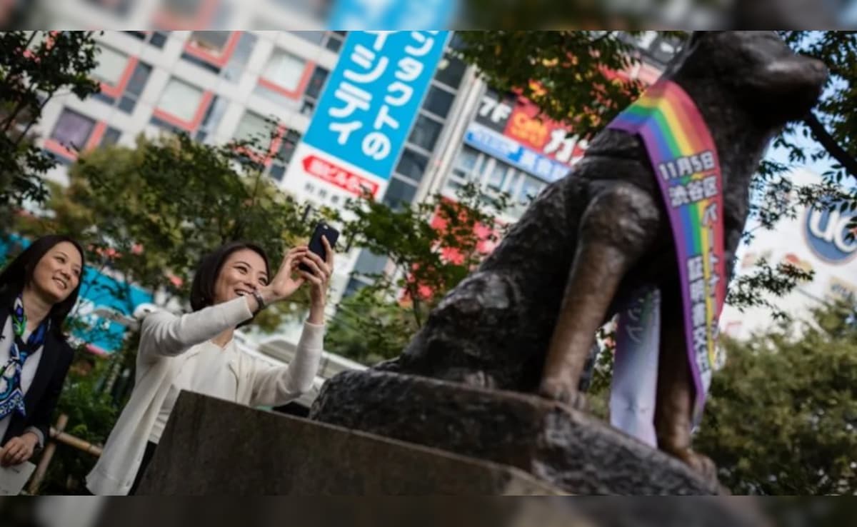 Latest and Breaking News on NDTV