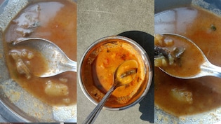 Madhya Pradesh: कन्या छात्रावास के भोजन में कीड़ा, 5&ndash;6 छात्राएं बीमार, मामले को दबाने का आरोप; छात्राएं पहुंची कलेक्ट्रेट