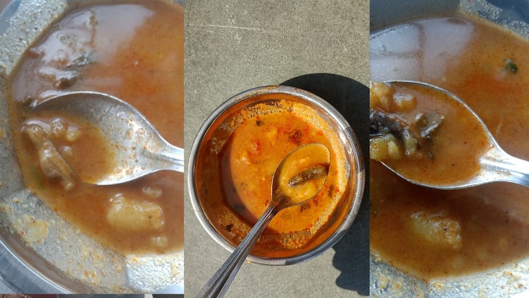 Madhya Pradesh: कन्या छात्रावास के भोजन में कीड़ा, 5&ndash;6 छात्राएं बीमार, मामले को दबाने का आरोप; छात्राएं पहुंची कलेक्ट्रेट