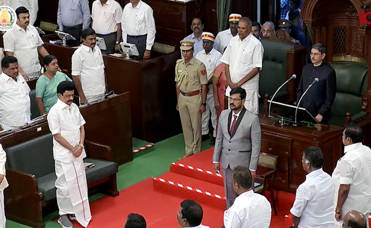 The Art of Baking: From Classic Bread to Artisan Pastries