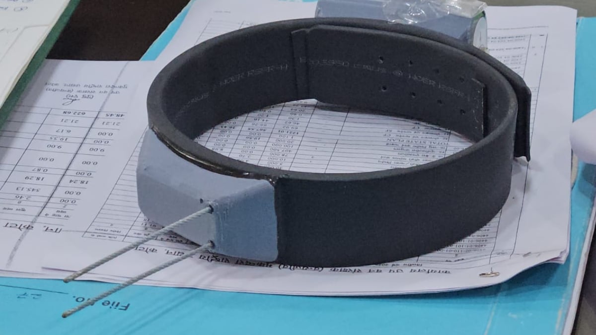 लेपर्ड के गले में डाला जाएगा ख़ास कॉलर