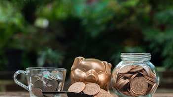 Up To 8.2% Interest: This Small Savings Scheme Offers Highest Interest — Check Eligibility, Features, More