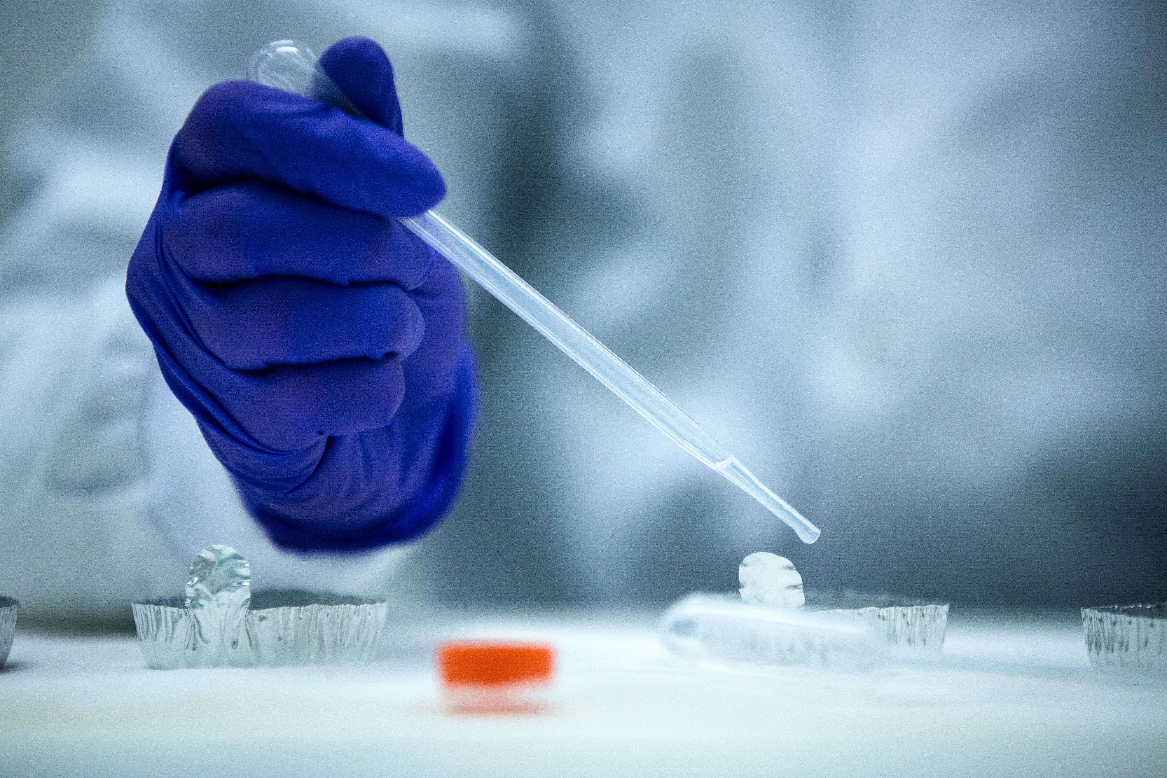 U.S. Generic Drug Probe Takes Pharma Stocks Lower; Analysts Say Time To Buy