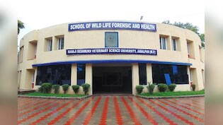 MP: गोबर, गोमूत्र से कैंसर के इलाज का दावा करने वाला प्रोजेक्ट विवादों में, कार, फर्नीचर पर लाखों खर्च