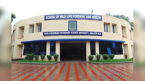 MP: गोबर, गोमूत्र से कैंसर के इलाज का दावा करने वाला प्रोजेक्ट विवादों में, कार, फर्नीचर पर लाखों खर्च