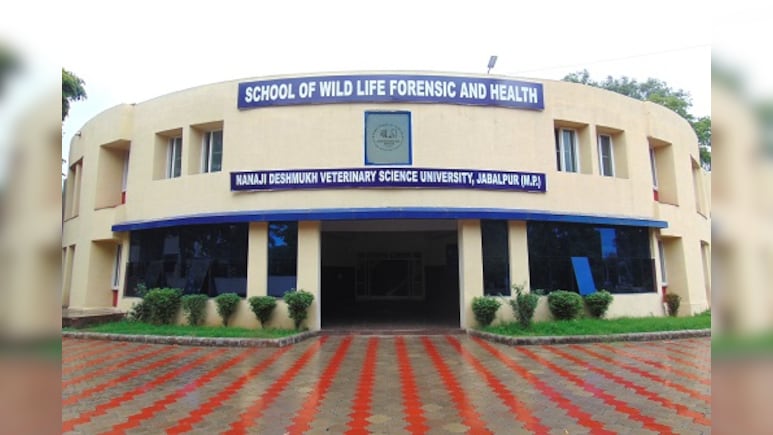 MP: गोबर, गोमूत्र से कैंसर के इलाज का दावा करने वाला प्रोजेक्ट विवादों में, कार, फर्नीचर पर लाखों खर्च