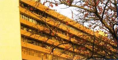 IRS Officer SK Mishra Appointed Enforcement Directorate Chief