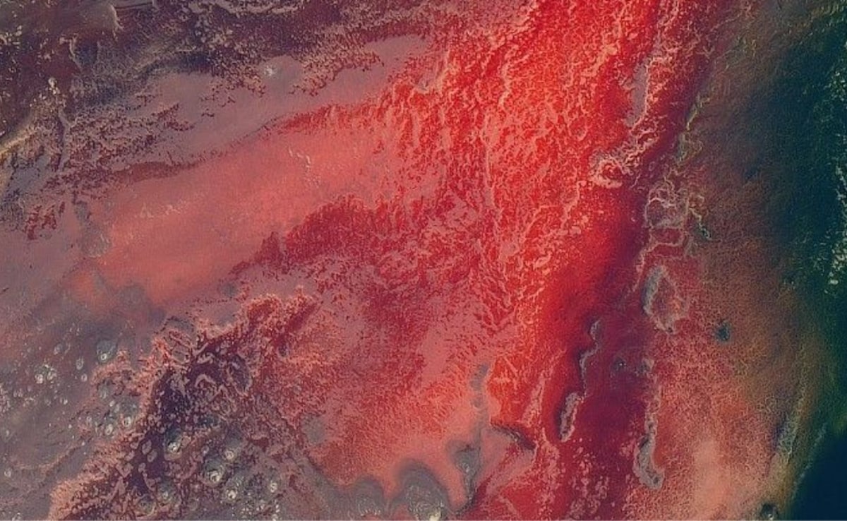 Despite being deadly, Lake Natron is not lifeless. Photo: NASA Despite being deadly, Lake Natron is not lifeless. Photo: NASA