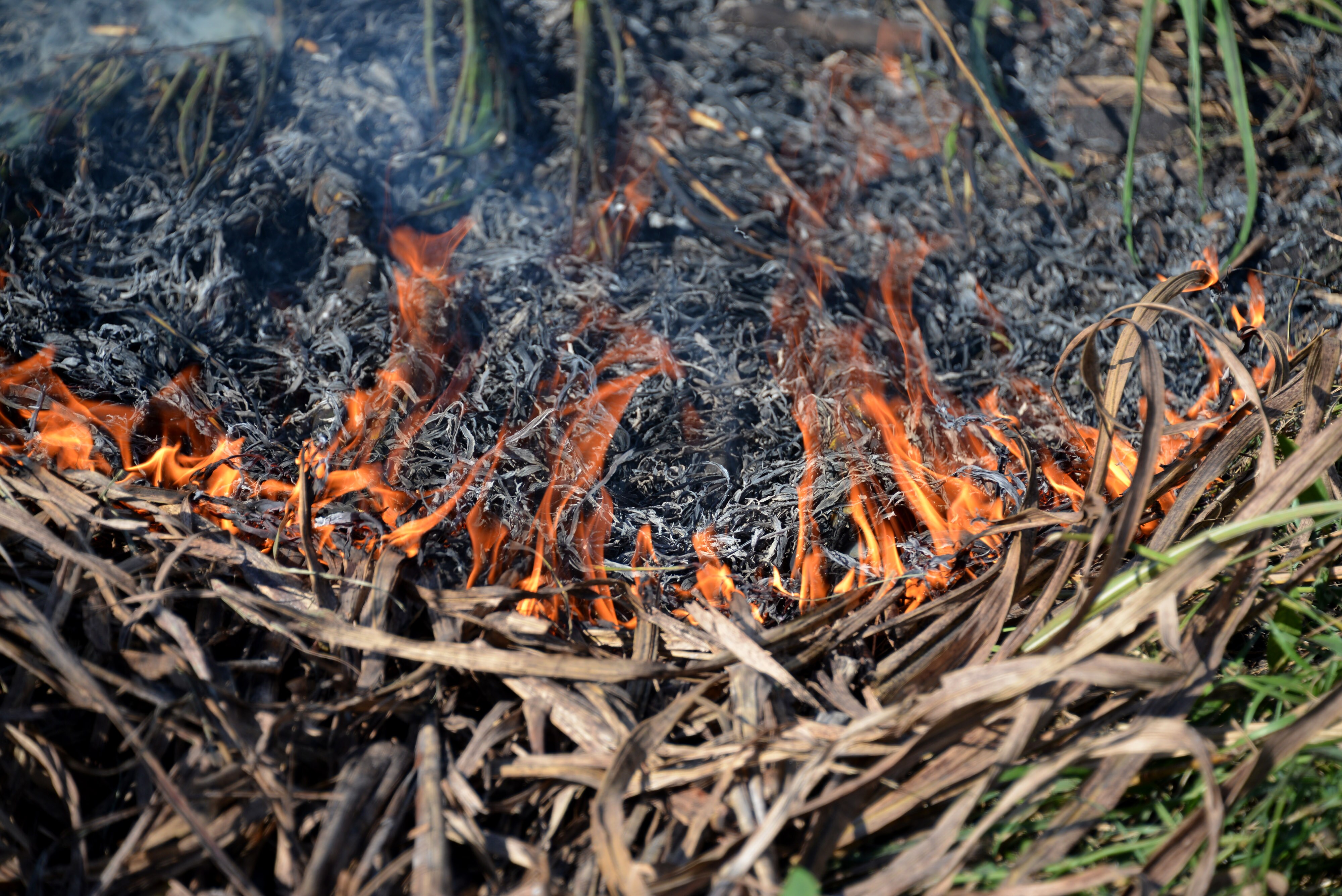 India Among Top 10 Carbon Polluters To Show Progress, But Farm Crisis Will Worsen