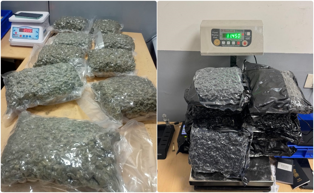 फ्लाइट से ला रहे थे 43 करोड़ का गांजा, दिल्ली एयरपोर्ट पर कस्टम ने शातिर बदमाशों को ऐसे रंगेहाथों धर लिया