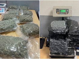 फ्लाइट से ला रहे थे 43 करोड़ का गांजा, दिल्ली एयरपोर्ट पर कस्टम ने शातिर बदमाशों को ऐसे रंगेहाथों धर लिया