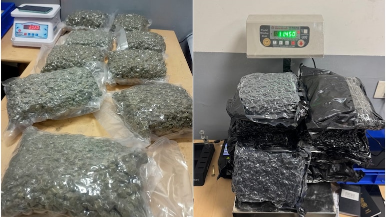 फ्लाइट से ला रहे थे 43 करोड़ का गांजा, दिल्ली एयरपोर्ट पर कस्टम ने शातिर बदमाशों को ऐसे रंगेहाथों धर लिया