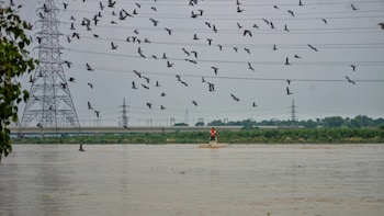 Delhi Government Approves 4.7-km Floodwall Along Yamuna To Protect Key Areas