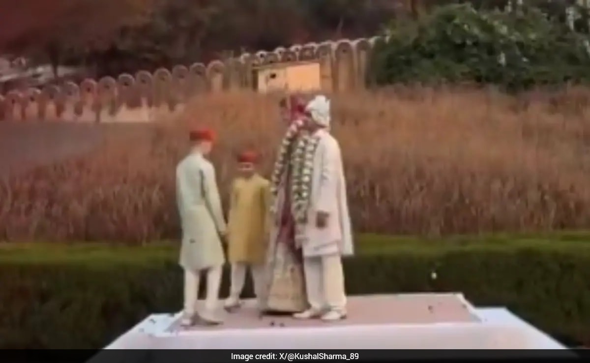 The Art of Baking: From Classic Bread to Artisan Pastries