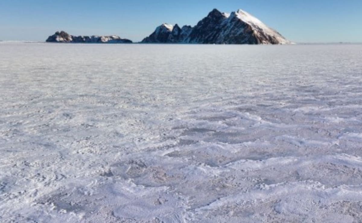 Latest and Breaking News on NDTV Latest and Breaking News on NDTV