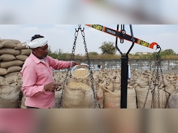 हर घंटे कई क्विंटल धान खा रहे चूहे! क्या ये न्यू नॉर्मल है?