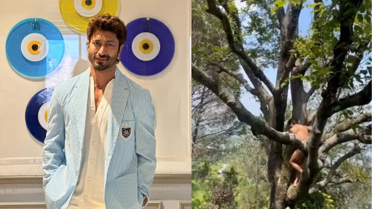 <i>Commando</i> Actor Vidyut Jammwal's Naked Tree-Climbing Video Goes Viral, Leaves Fans Curious