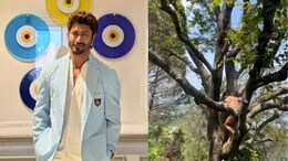 Viral Video: <i>Commando</i> Actor Vidyut Jammwal Climbs A Tree Naked As A Part Of Yogic Practice, Fans React