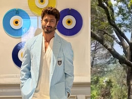 <i>Commando</i> Actor Vidyut Jammwal's Naked Tree-Climbing Video Goes Viral, Leaves Fans Curious