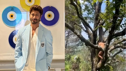 Vidyut Jammwal's Naked Tree-Climbing Video Goes Viral, Leaves Fans Curious