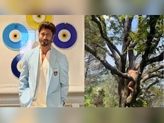 Viral Video: <i>Commando</i> Actor Vidyut Jammwal Climbs A Tree Naked As A Part Of Yogic Practice, Fans React